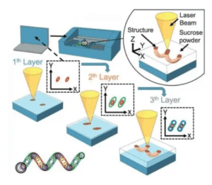 الرُّوبوتات النّانويّة