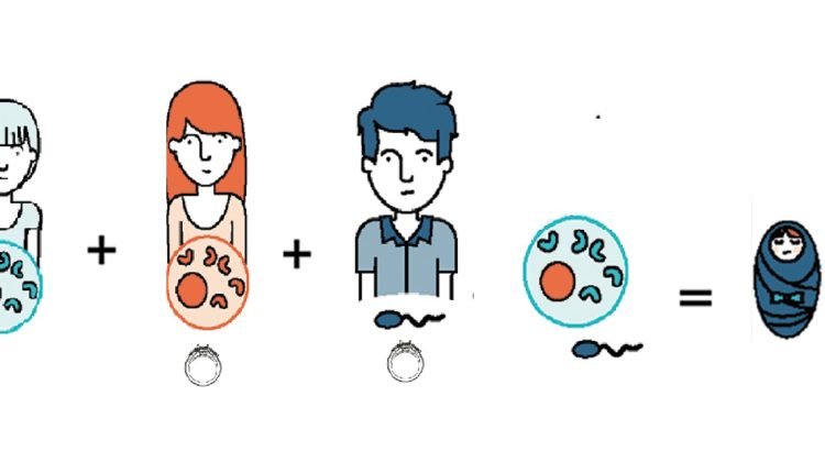 الميتوكوندري