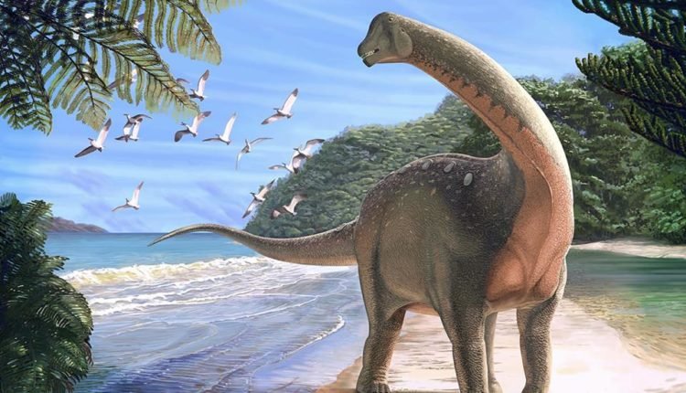 المنصوراصورس