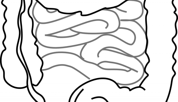 البروبيوتيك