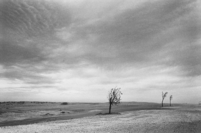 الناقوس الزجاجي