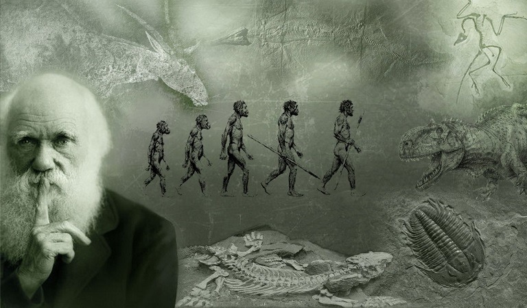 نظرية التطور داروين