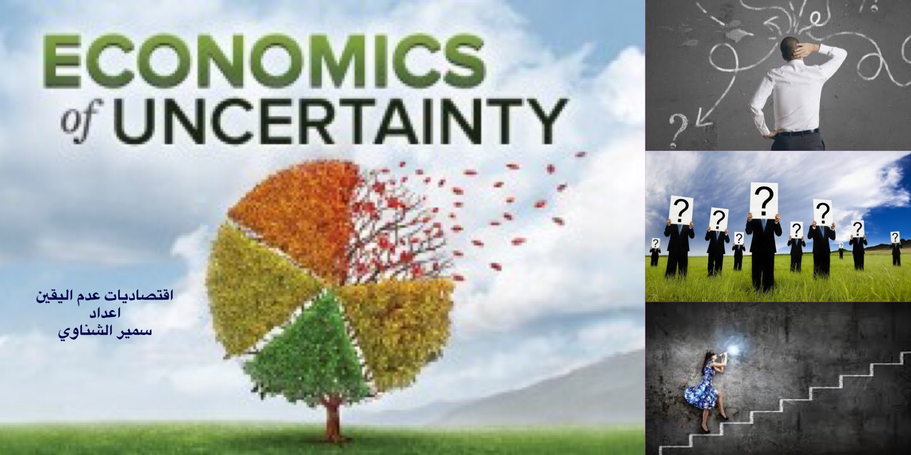 اقتصاديات عدم اليقين economics of uncertainty