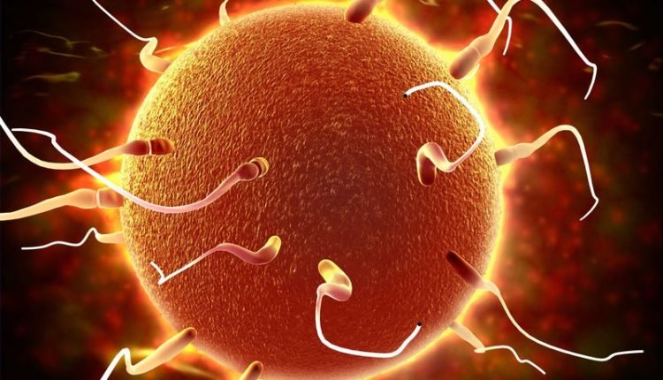 سلوكيات الآباء