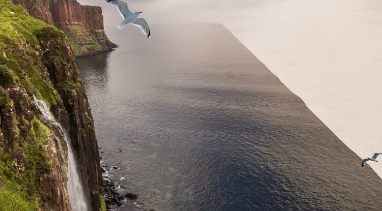 لماذا يرفض الناس العلم