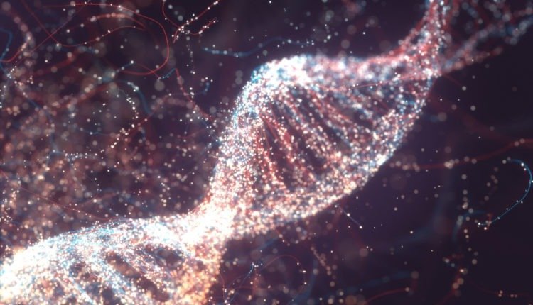 علم الوراثة الجينات