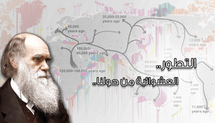 التطور والعشوائية