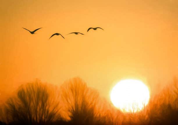 إبراهيم و الشك