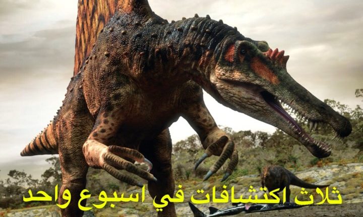 التاريخ الطبيعي التطور