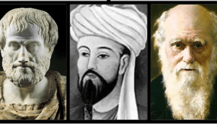 نظرية التطور
