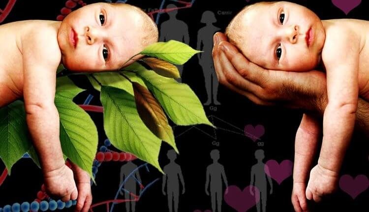 رحلة الفطرة والنشأة