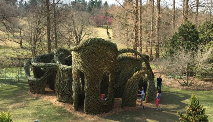 العمارة الشجرية